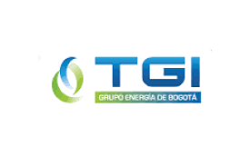 TRANSPORTADORA DE GAS INTERNACIONAL SA