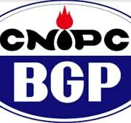 BGP INC SUCURSAL NUEVA GRANADA